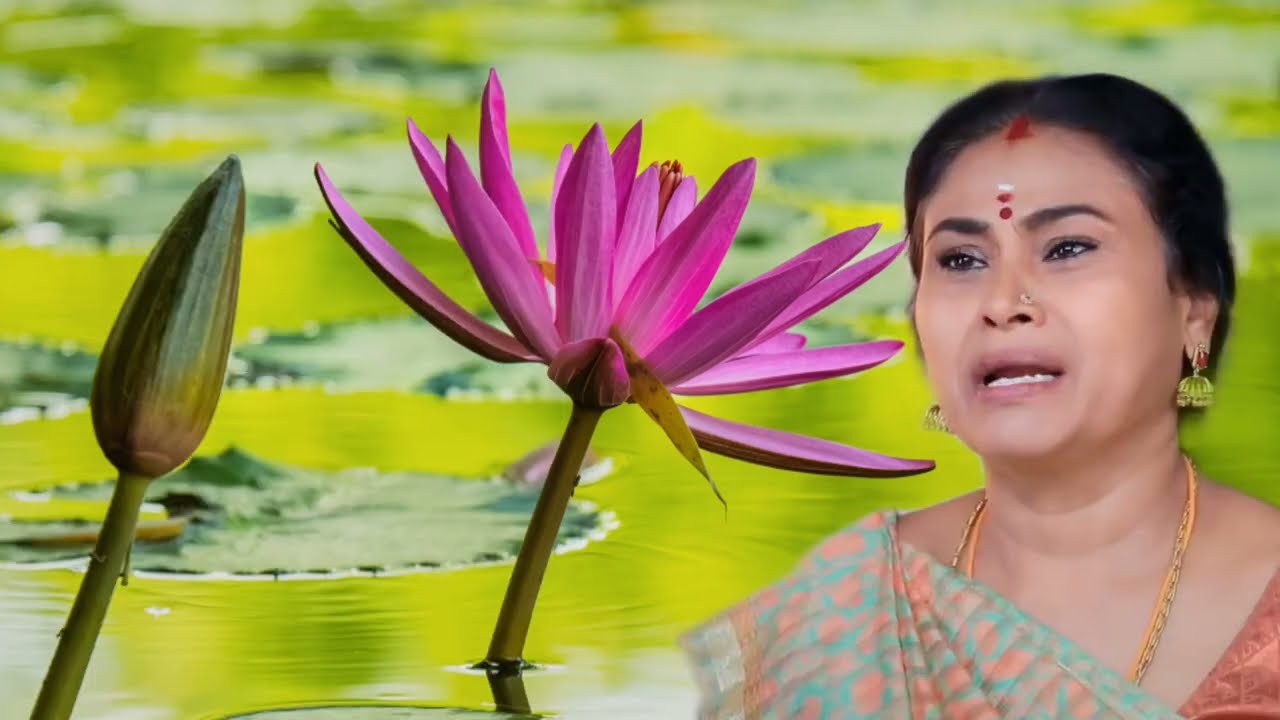 யாரும் எதிர்பாராத அதிரடியான திருப்பங்கள் | Pandianstore serial upcoming episode review/16th Feb 2026