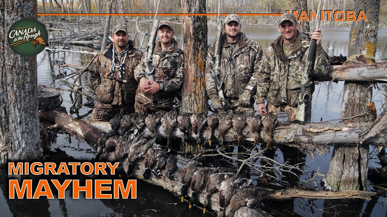 Non-Stop Duck and Goose Hunting Action in Manitoba | Canada in the Rough