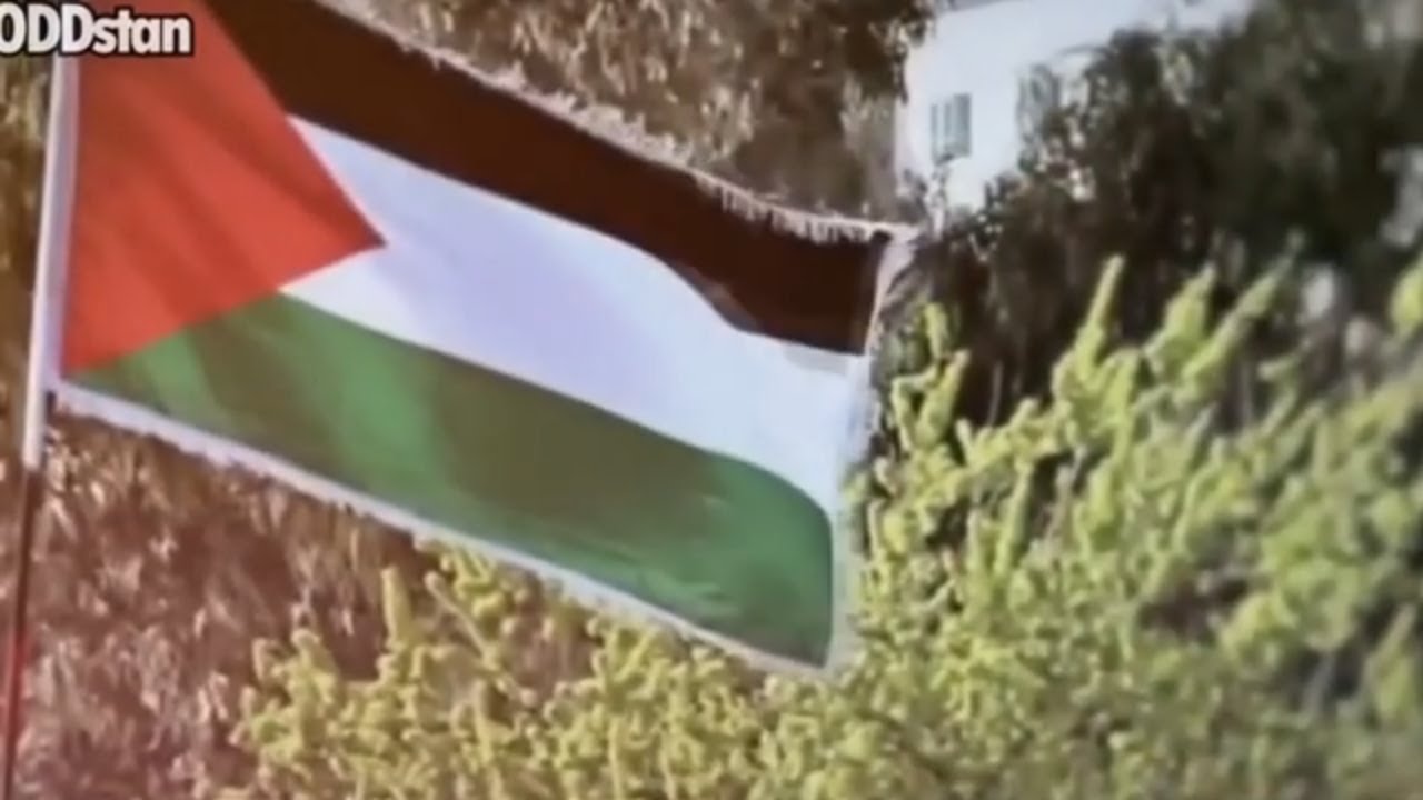 Palestine Type Beat