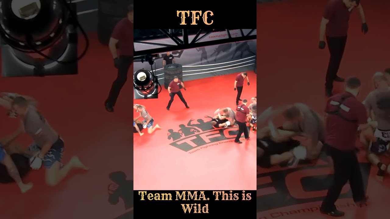 Team Fighting Championship (TFC) - Poland vs Sweden #shorts #tfc #mma