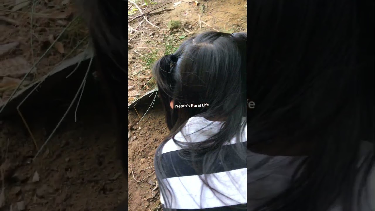 girl is catching big crab 2 #crabs #viralshorts #SHORTS