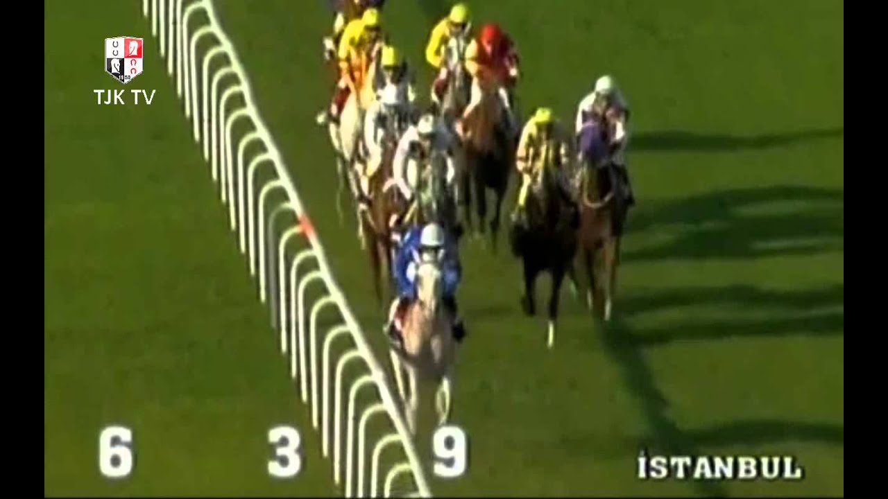 VELİEFENDİ KOŞUSU  2001