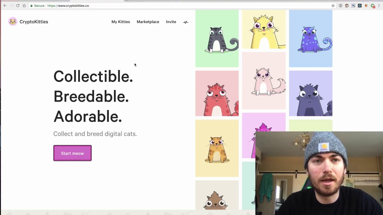 Introduction to Cryptokitties