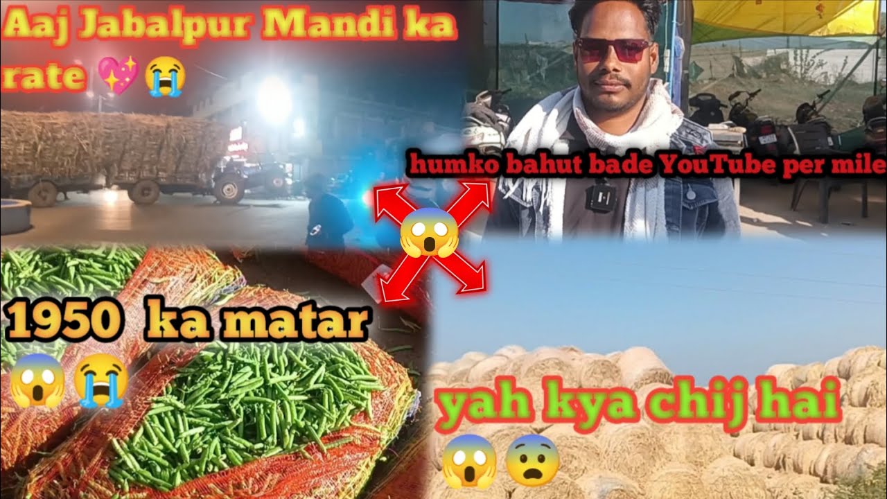 Aj jabalpur mai kya hua 😱 aj ka rate 💖🫂@Amitblogger81 #viral #vlog #shortvideos #khetiwadi 