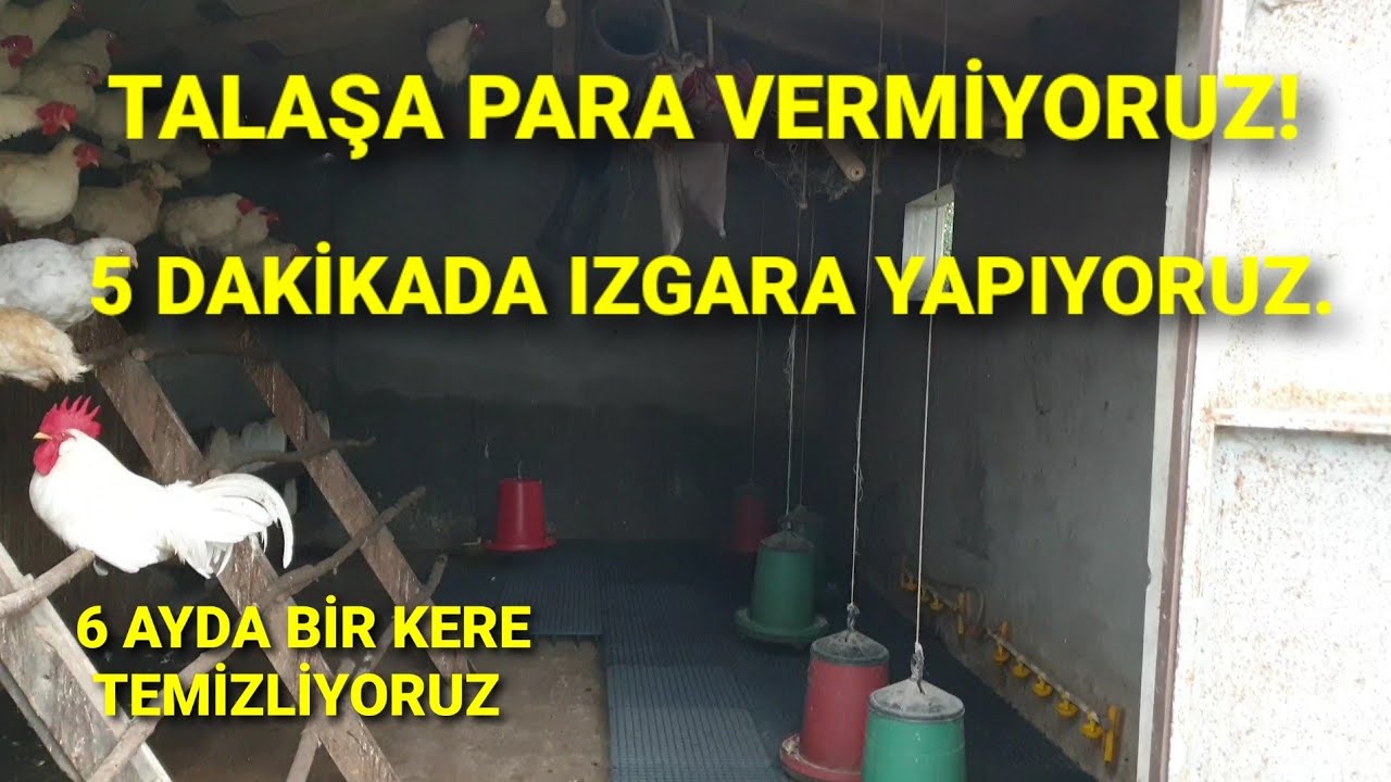 TERTEMİZ YUMURTA VE TAVUKLAR İÇİN BUNU YAPABİLİRSİNİZ. PARASINI KISA SÜREDE ÇIKARIYOR #fatibopetshop