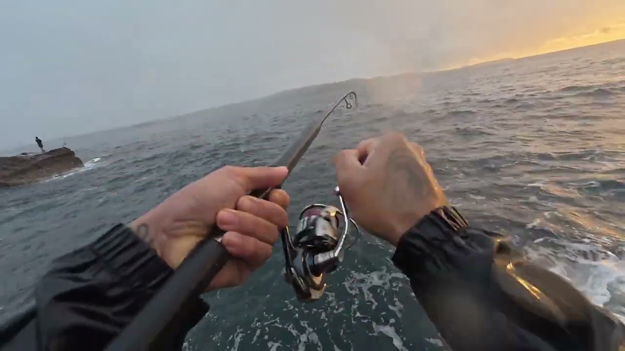 So This Is What It Means When People Say The Fish are ON! Sydney Rockfishing