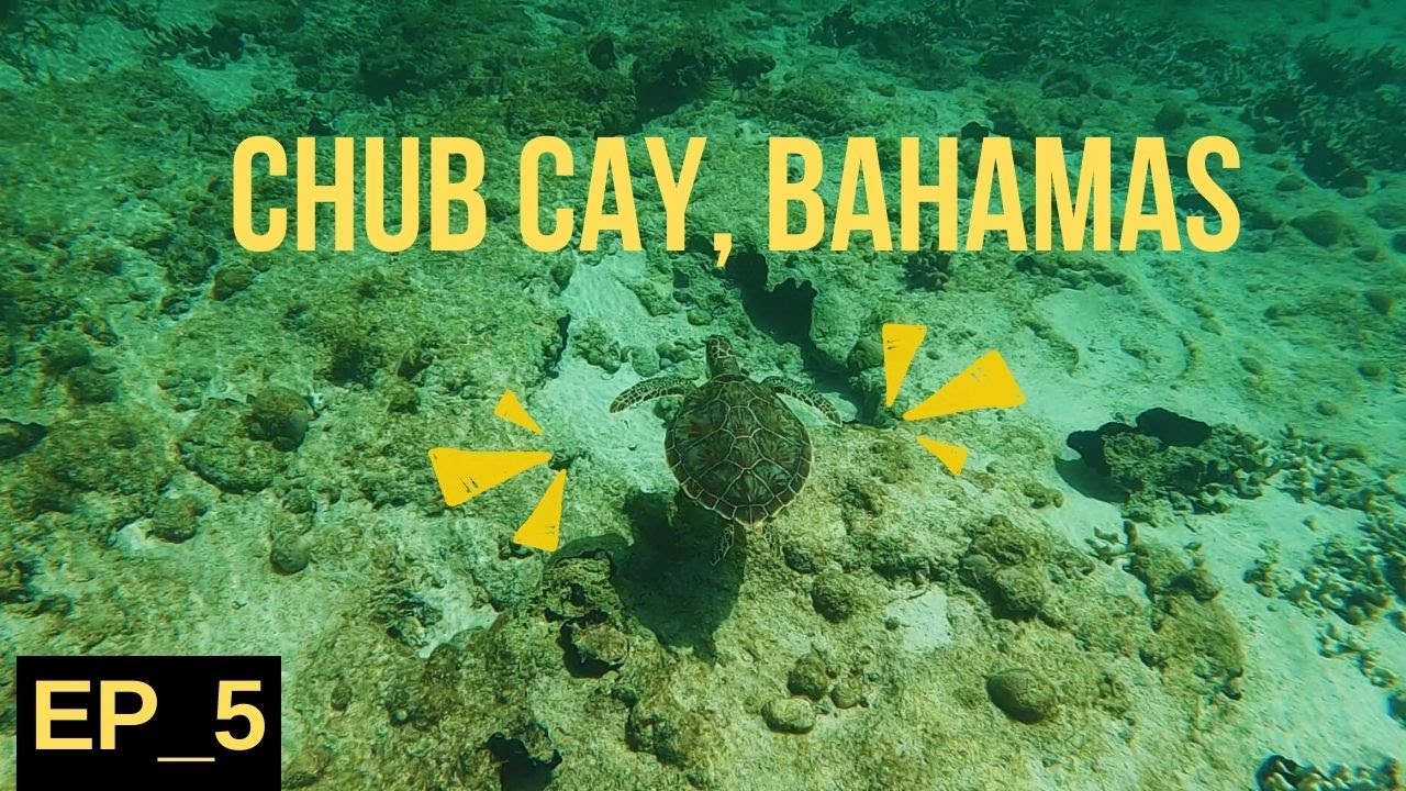 CHUB CAY-EXPLORING TURTLE CREEK