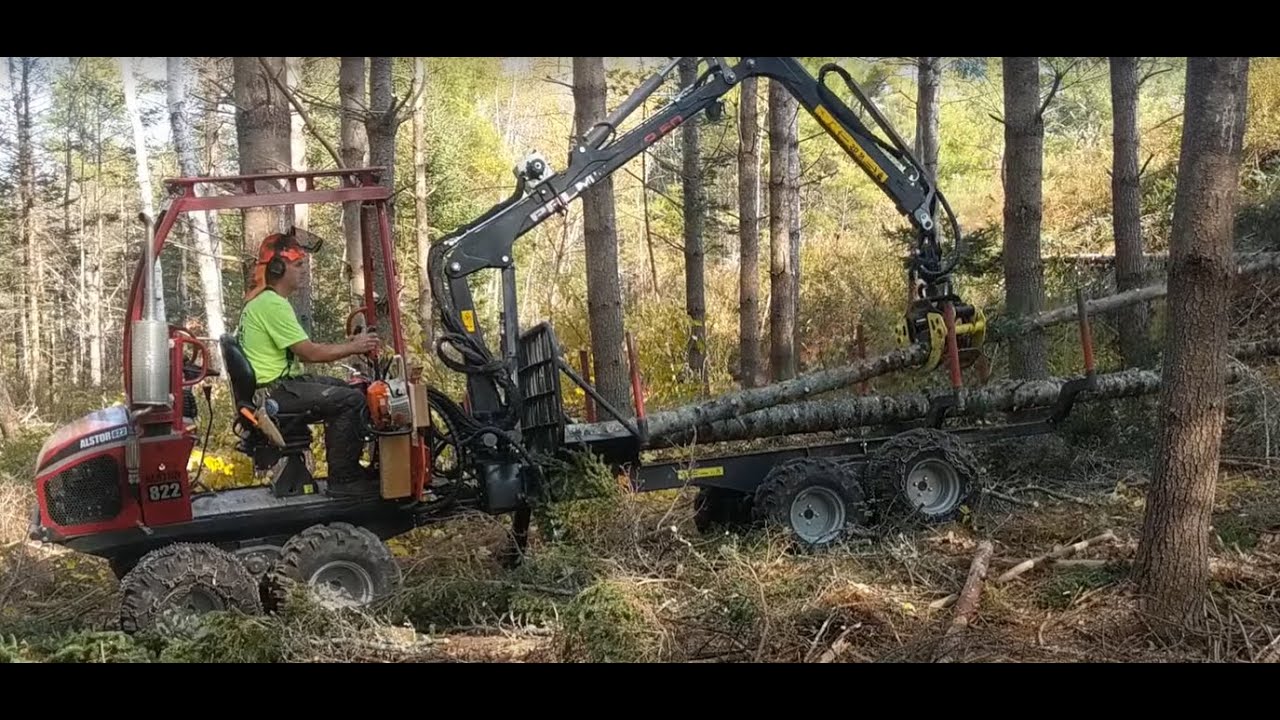 Alstor 822 in Fir Thinning