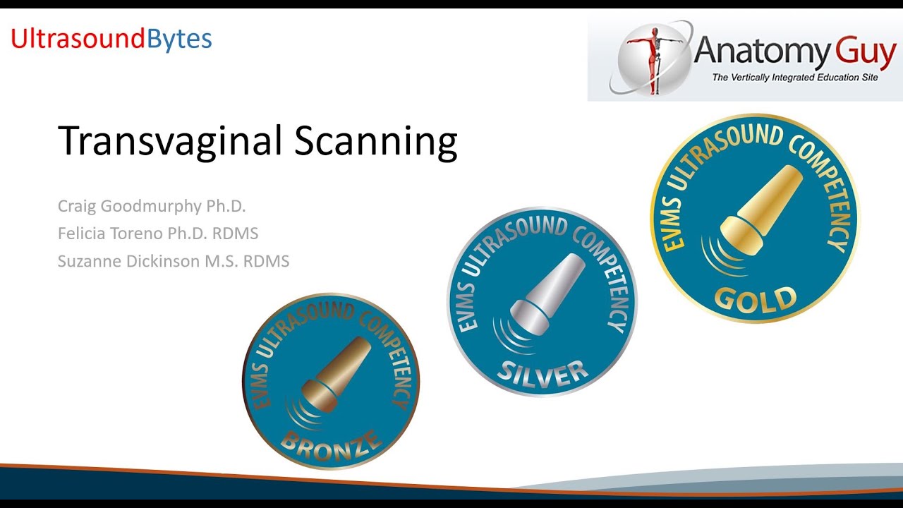 UltraSoundbytes Transvaginal Ultrasound Scanning (a training phantom)