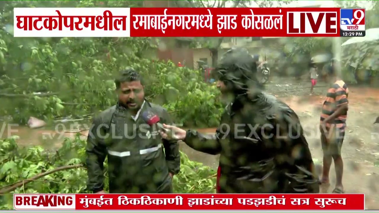Mumbai | Ghatkopar Tree Collapse | घाटकोपरच्या जलप्रभात नगरमध्ये झाड कोसळलं