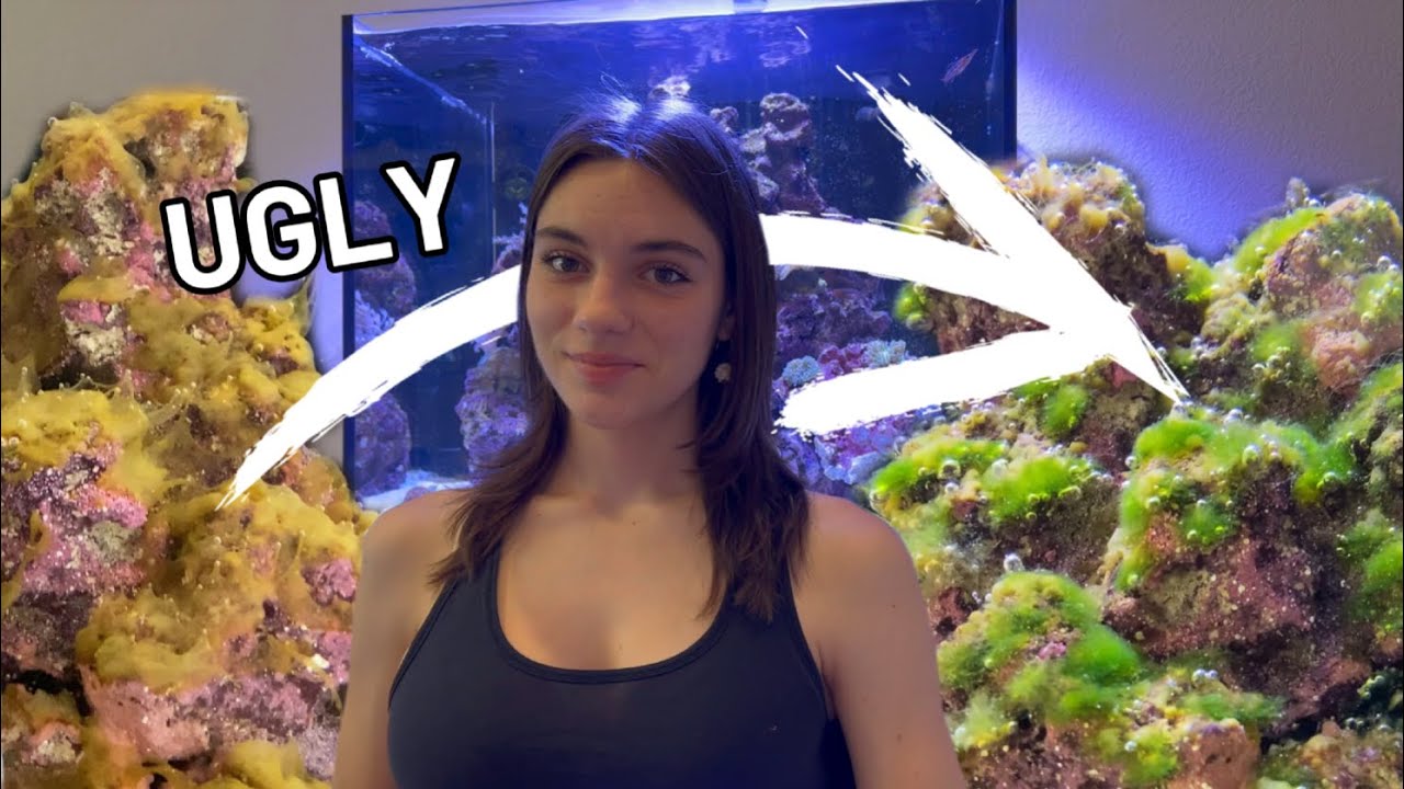What the Ugly Stage ACTUALLY is and What You Can Do About it