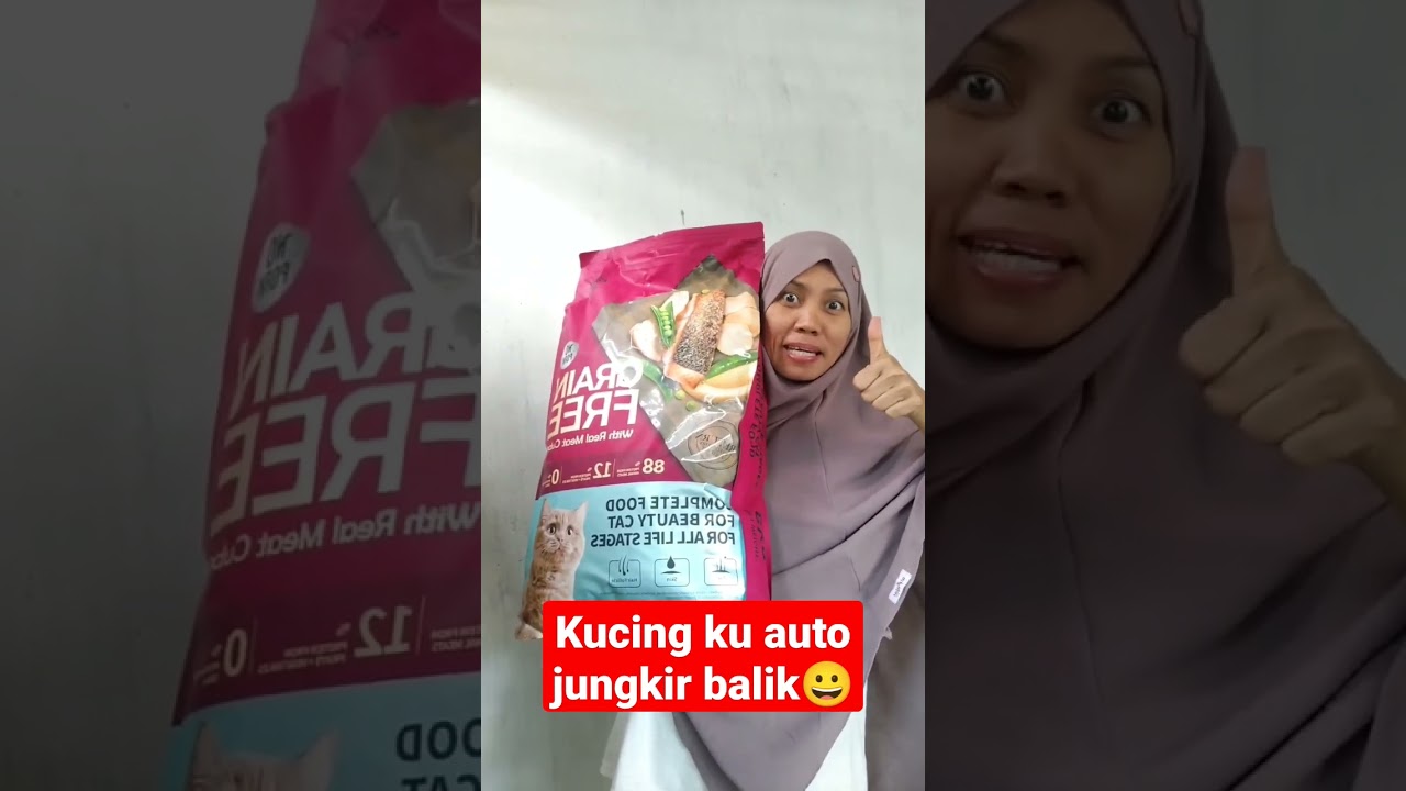 makanan kucing kitchen flavor beauty all usia & mom n kitten cat.