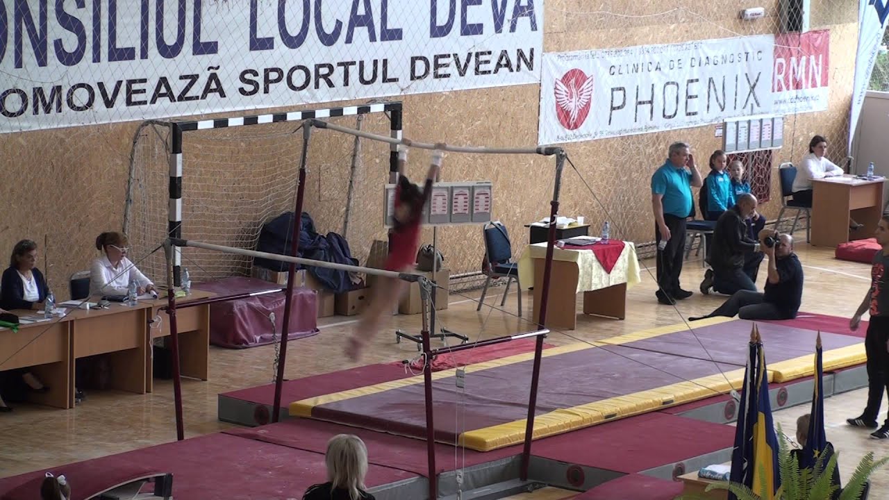 Daria Berar - CSM Arad - UB EF - CN Individual Junioare 2015 N2