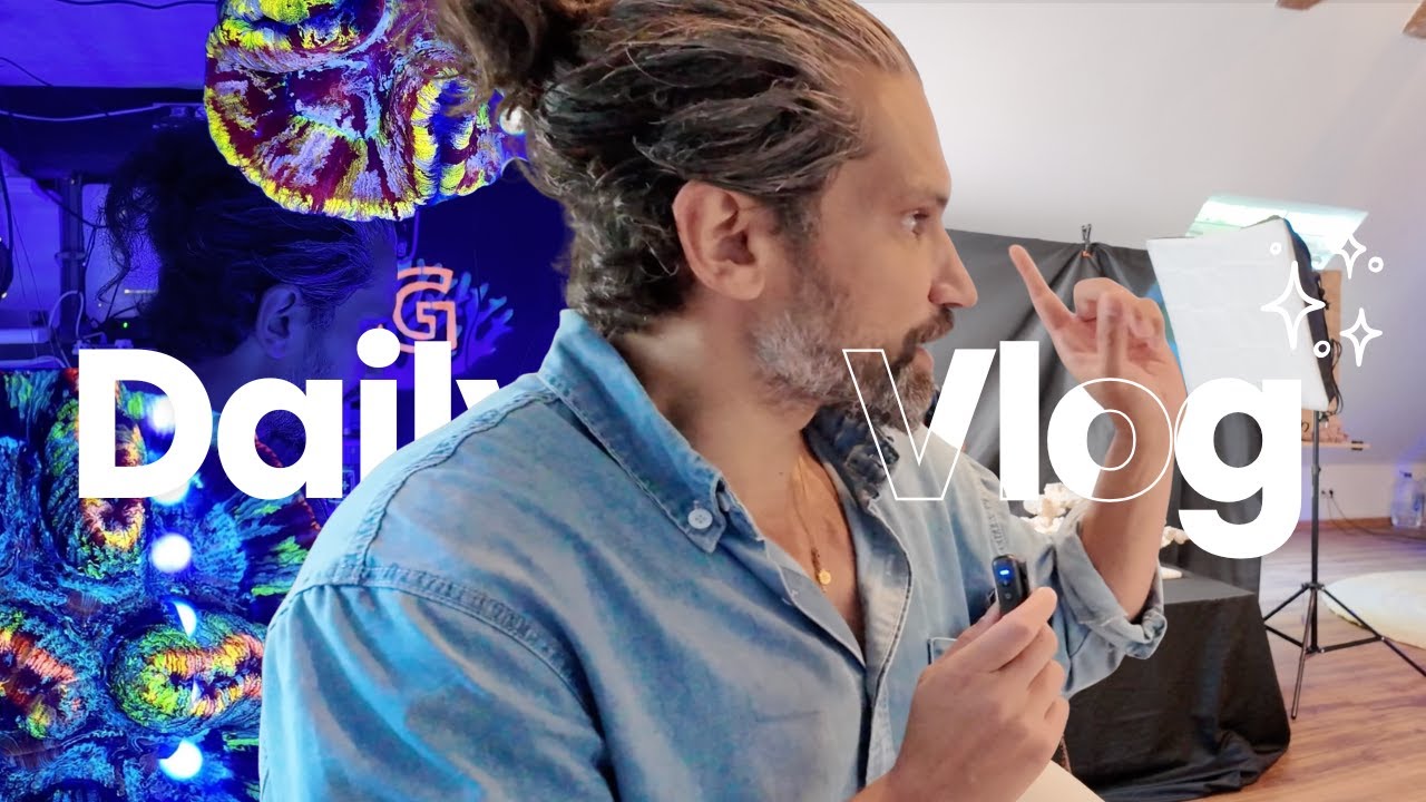 Korallen-Shopping & Riff-Abholung: Ein Tag bei Reef Art & Design – heute holt Max sein Riff
