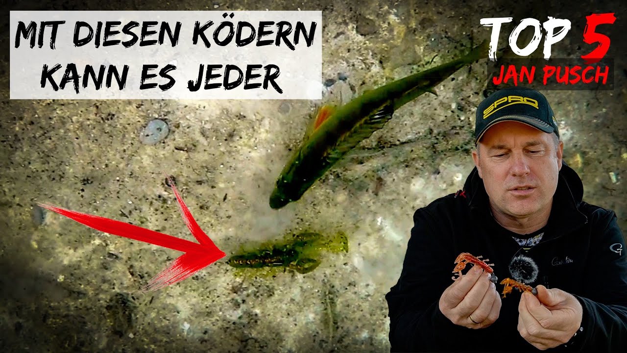 Mit diesen K&Ouml;DERN f&auml;ngst du garantiert VIELE Barsche- Jan Pusch zeigt uns seine TOP 5 | Angellexikon