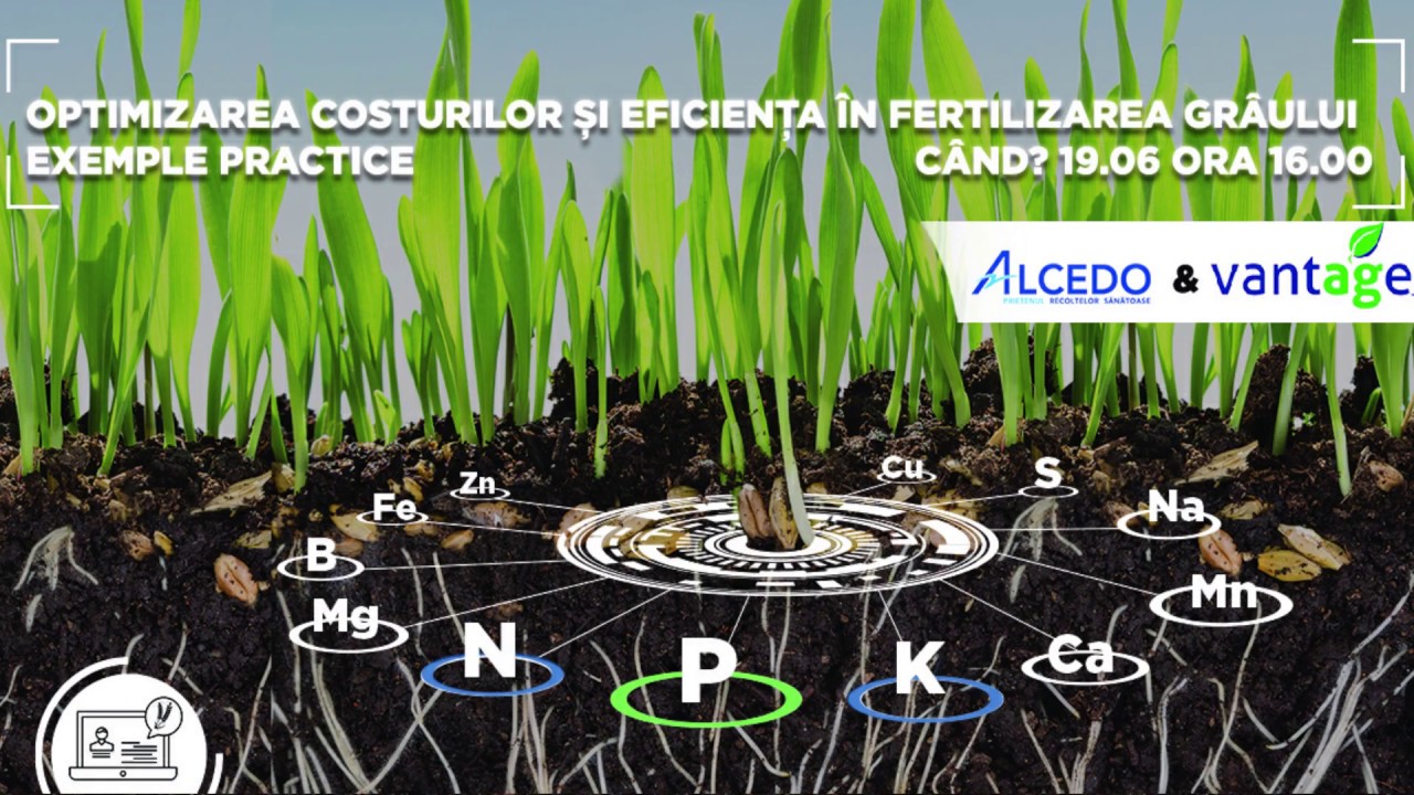 Optimizarea costurilor și eficiența în utilizarea grâului - Exemple practice