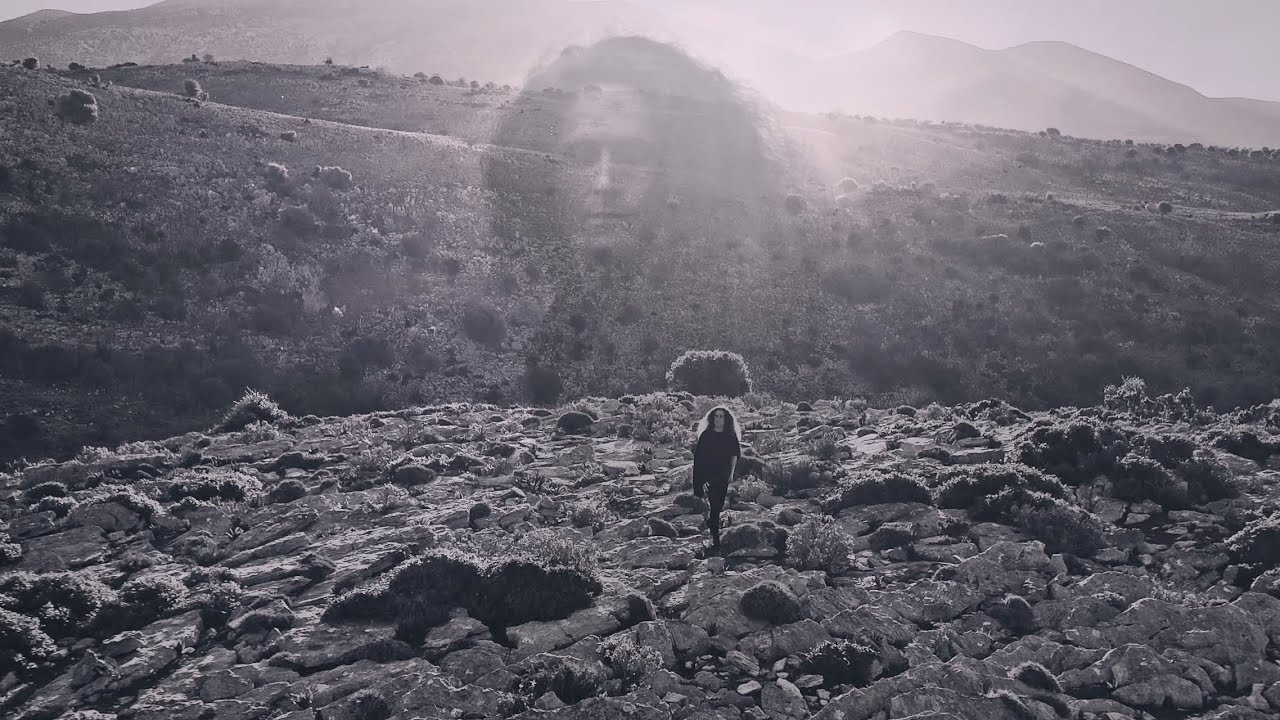 Aniare - If Dreams Come Alive (Official Visualizer)