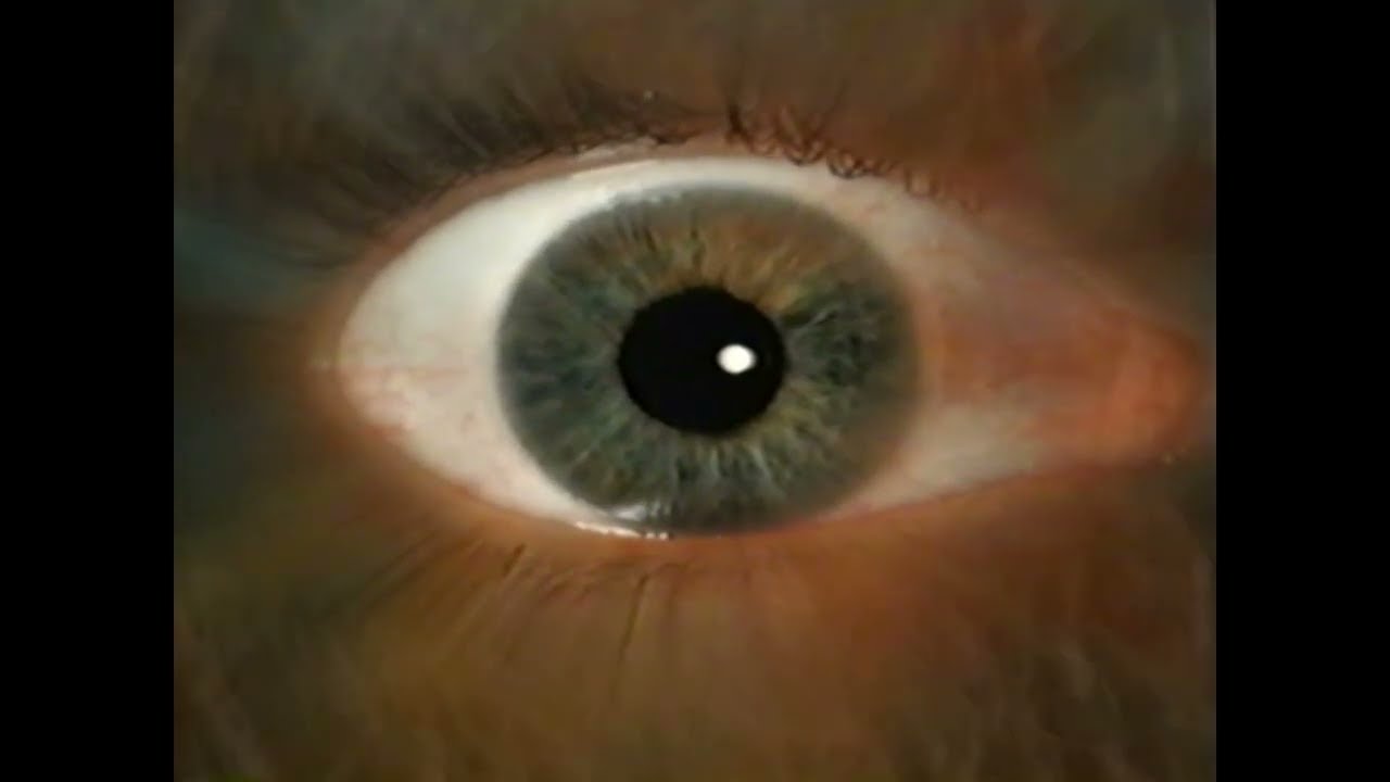 The Night Monitor - Window Area (OFFICIAL VIDEO)
