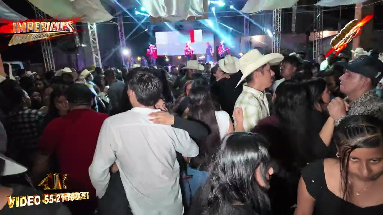 Trío Imperiales de la Sierra en Vivo 🎻 ¡Ambientazo en La Labor, Orizatlán! |Boda Adriana y Abelardo💍