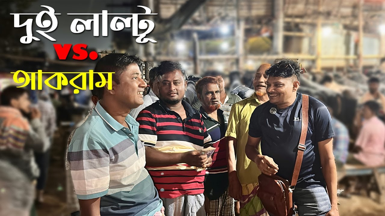দুই লাল্টু ভাই বনাম আকরাম ভাই! Gabtoli Haat দেশি ষাঁড় গরুর দরদাম, গান আর সালিশে জমে উঠল হাটq