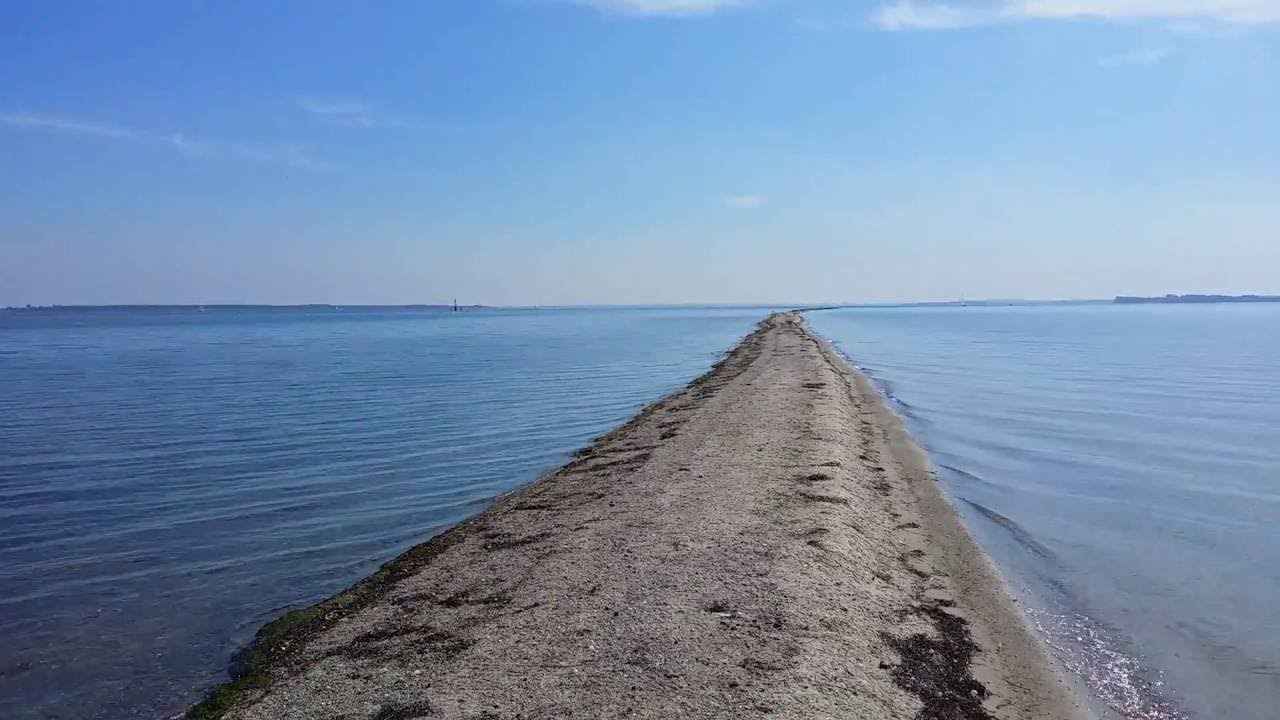 Robben Sandbank Lieps (Wismarer Bucht)