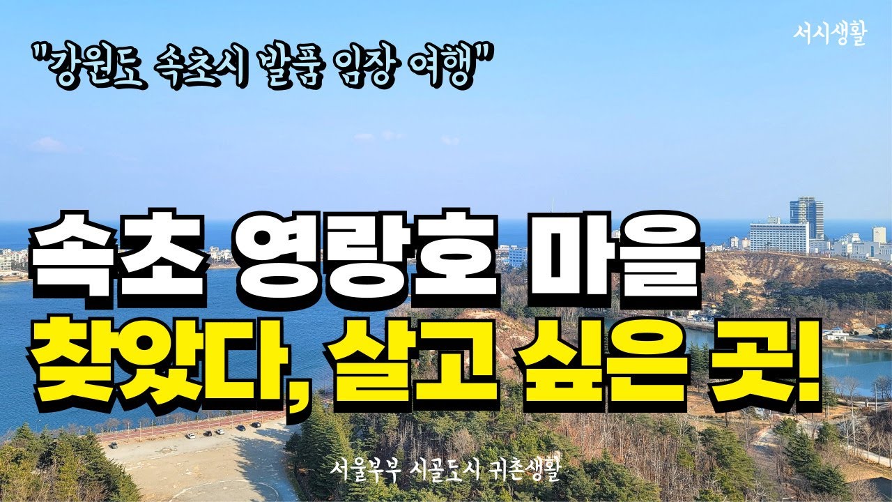 [속초 발품 임장 여행] 초보 귀촌할 때 진짜 살기 좋은 영랑호 마을 영리단길 #서울부부