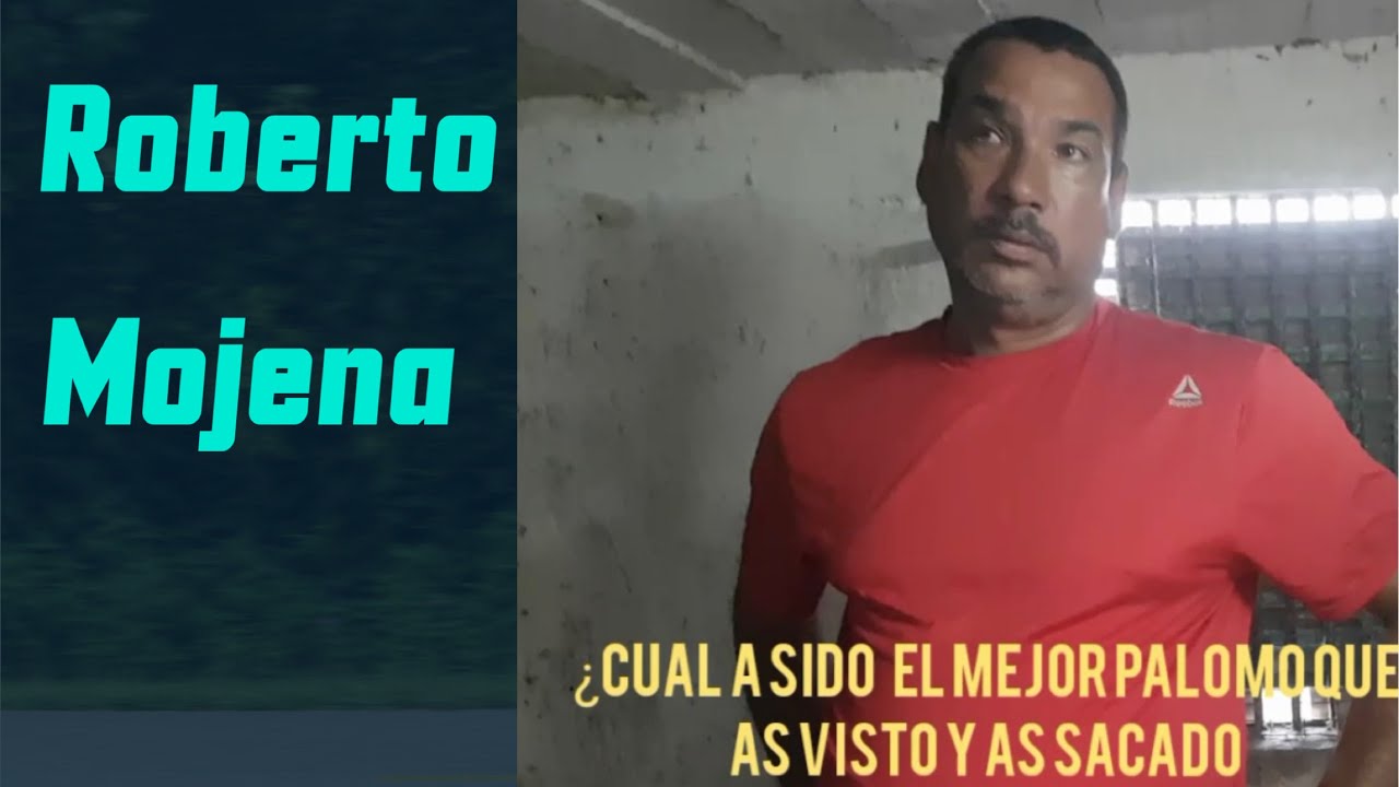 Roberto Mojena nos habla de sus mejores palomos Diciembre 2022