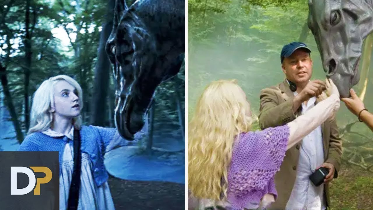 15 Escenas Detrás De Cámaras Que Arruinaron La Magia En Harry Potter.