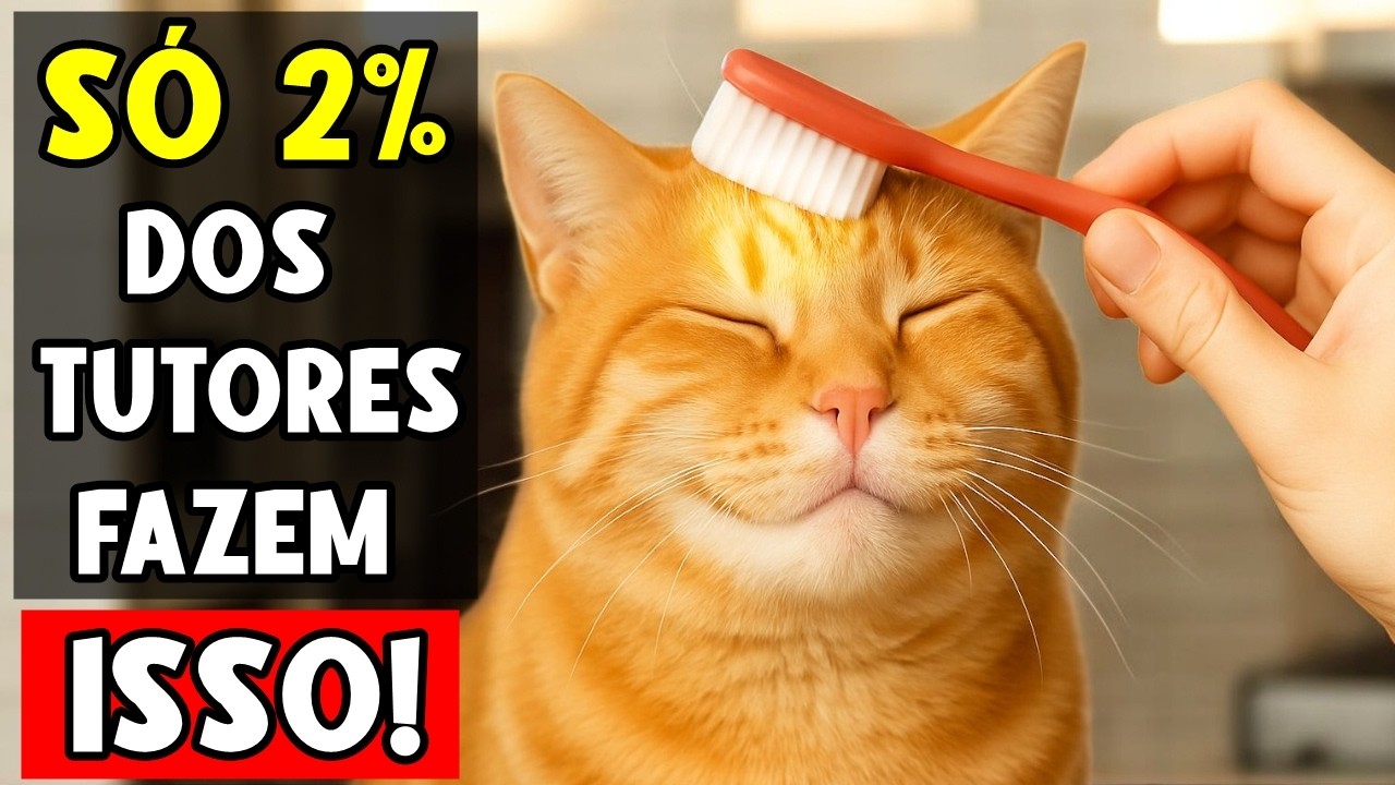 10 Segredos que os gatos amam MAS só 2% dos tutores fazem! 😯