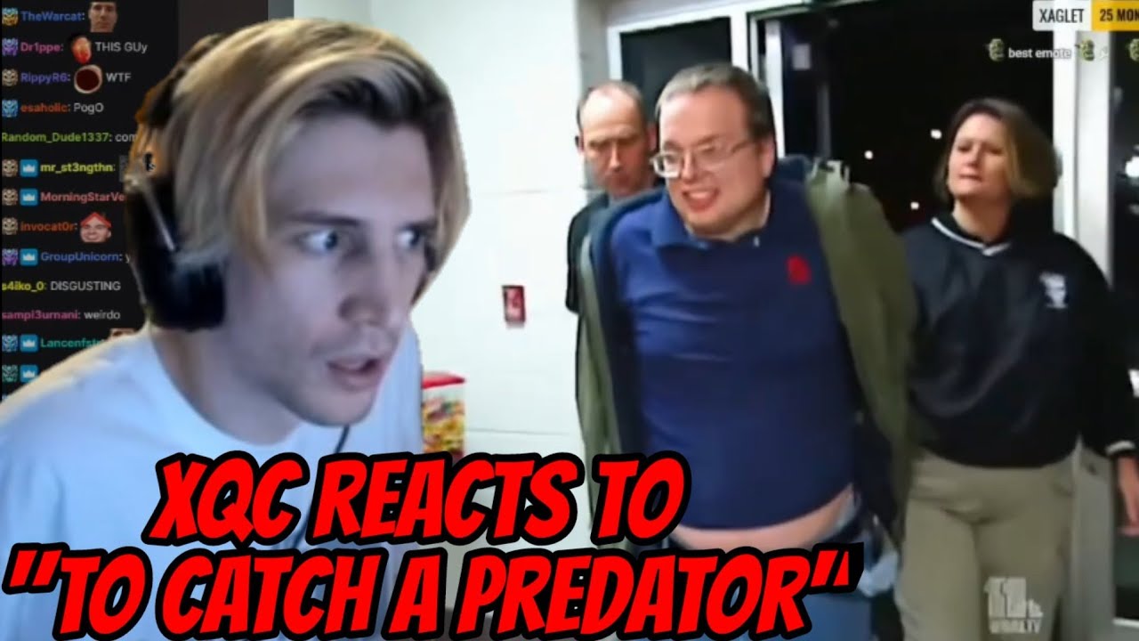 xQc reacts to 