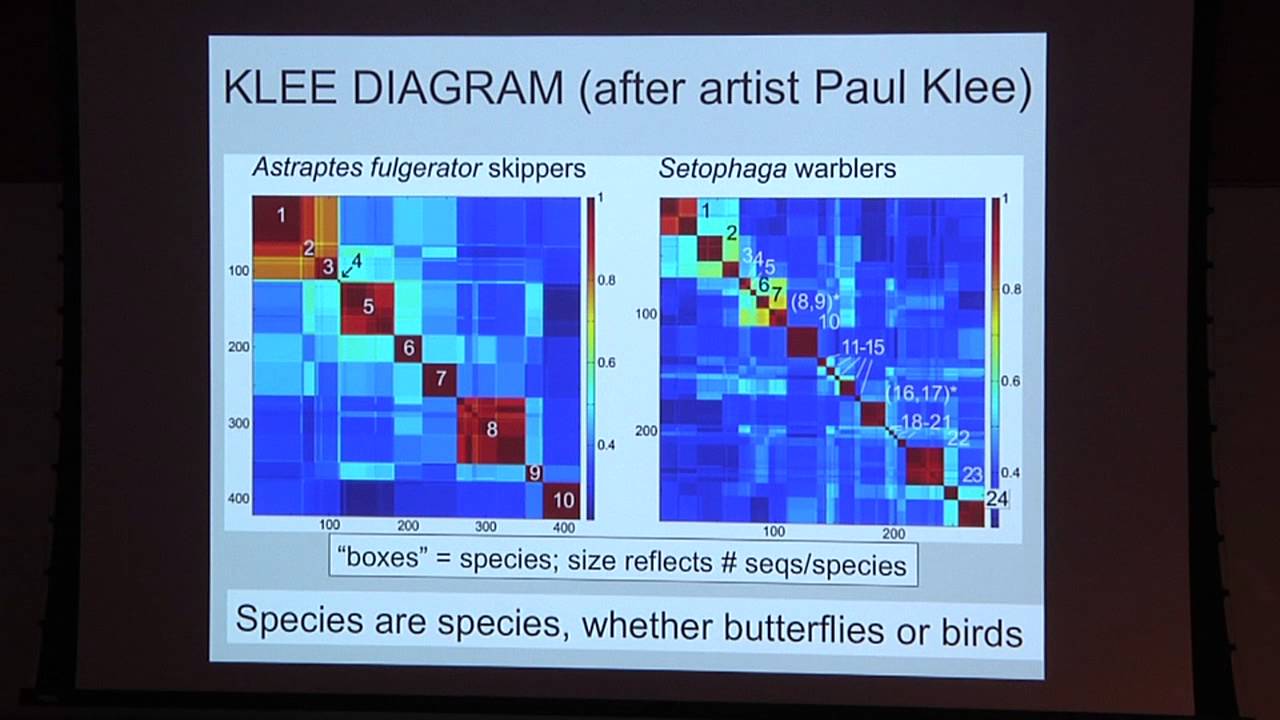 DNA Barcoding: A simple way of identifying species by DNA (Mark Stoeckle, MD)