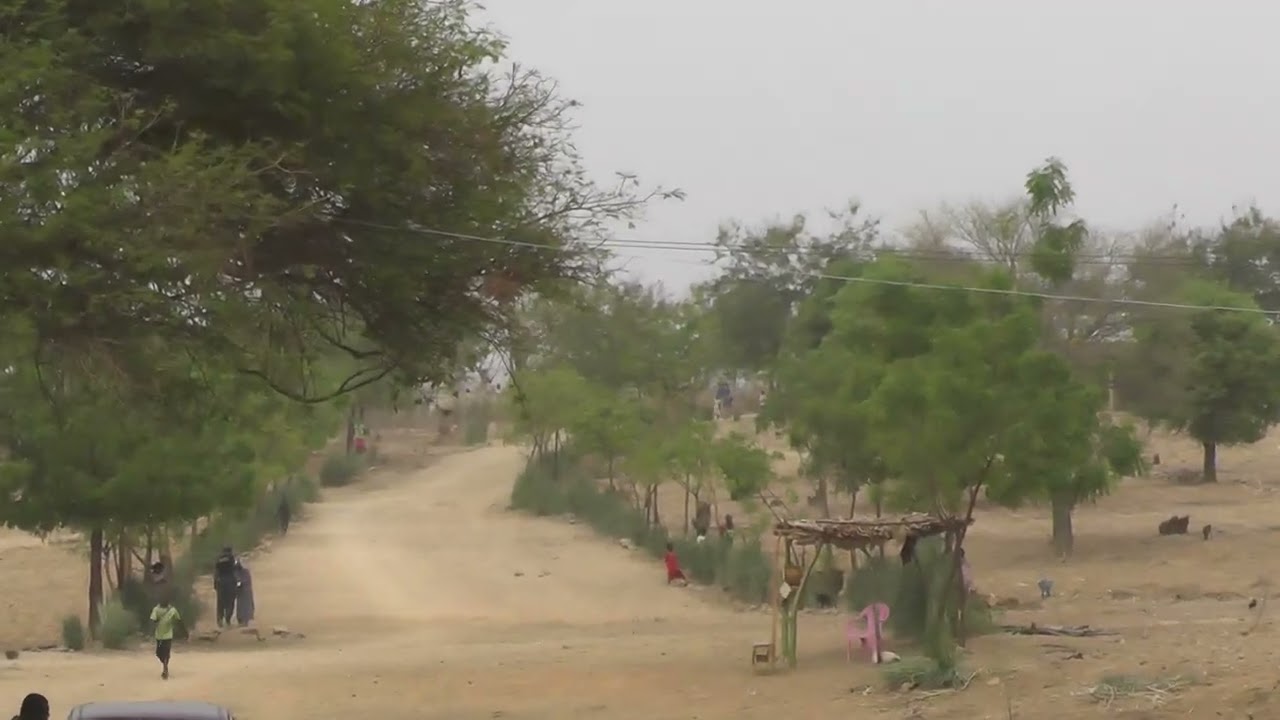 Vidéo de reportage sur les plantations du PR1400 dans la commune de mokolo