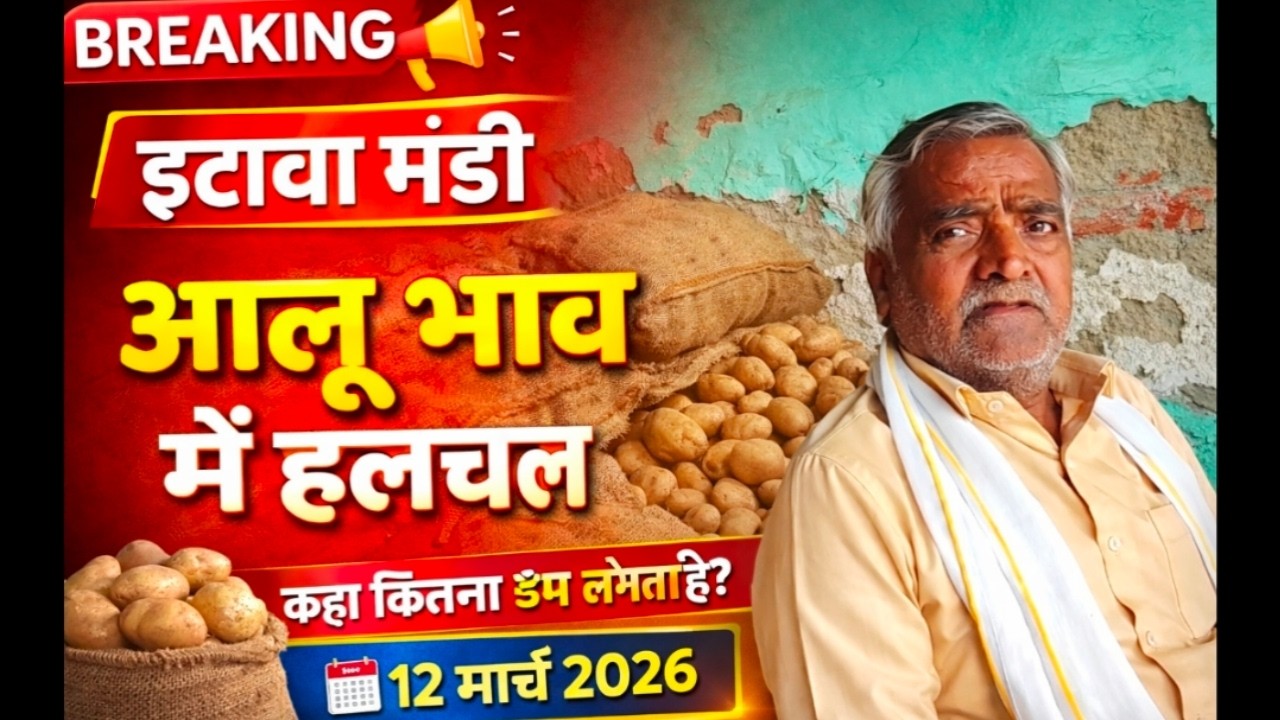 इटावा मंडी में आलू भाव में हलचल | कहा कितना डंप लगता है? | 12 मार्च 2026