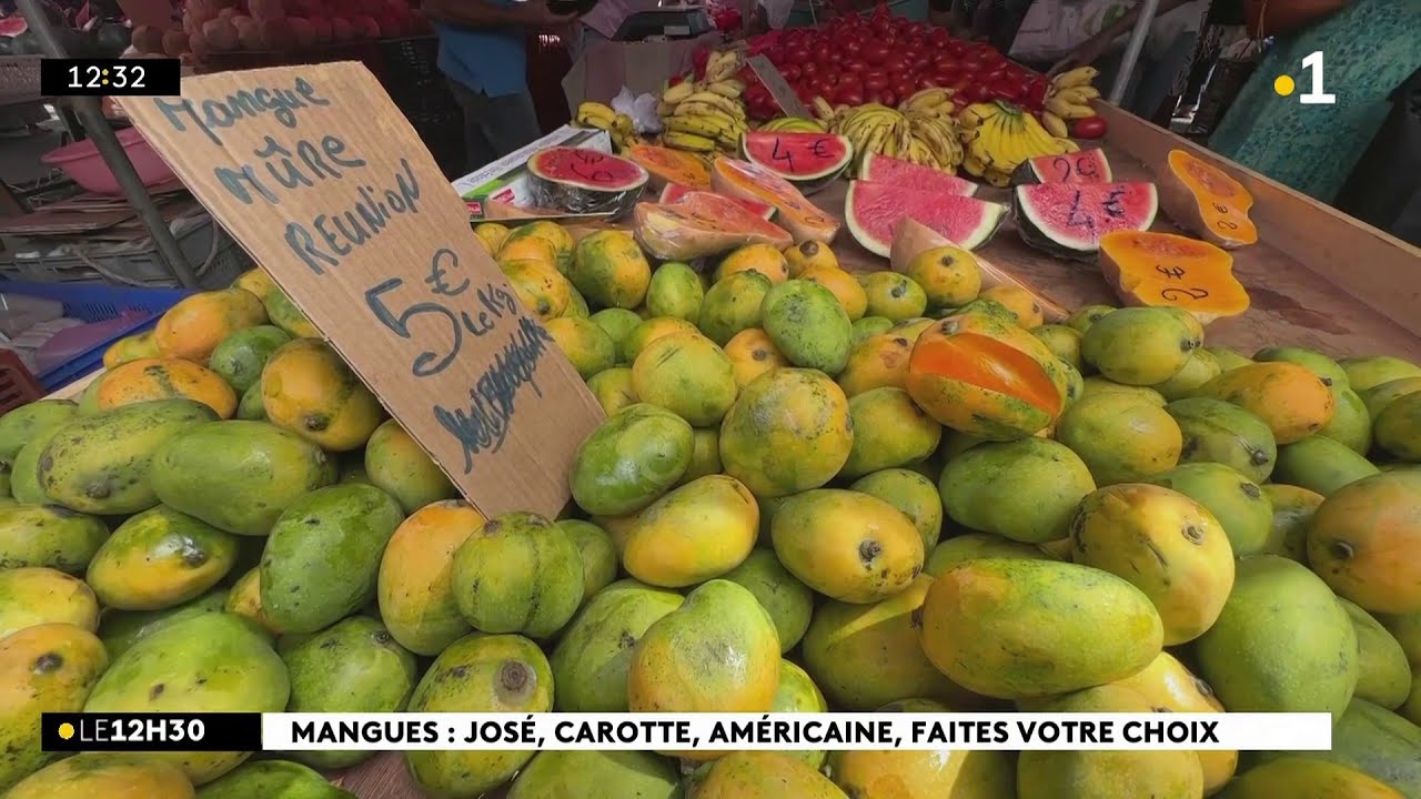 Les premières mangues de la saison sont sur les étals, au marché forain du Chaudron.
