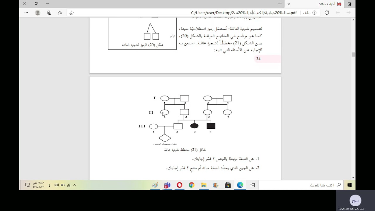 سجل النسب / أحياء / 11ع