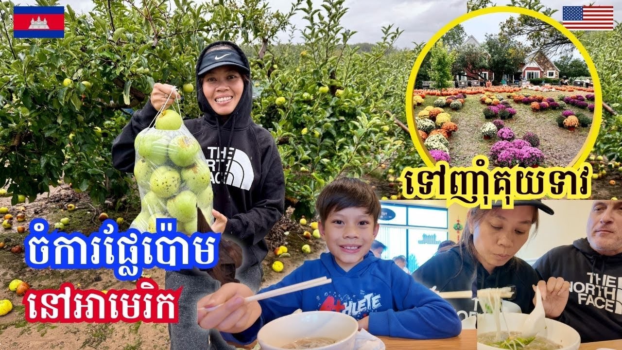 Picking Apple At Apple Orchard In USA || ទៅចំការបេះផ្លែប៉ោមធំៗហើយឆ្ងាញ់ៗណាស់-​ជុំគ្នាញាំគុយទាវ