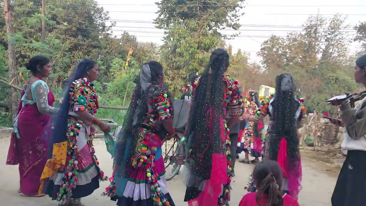 होली २०८२, राना थारुहरुको होली। शुक्लाफाँटा नगरपालिका 12, कञ्चनपुर 