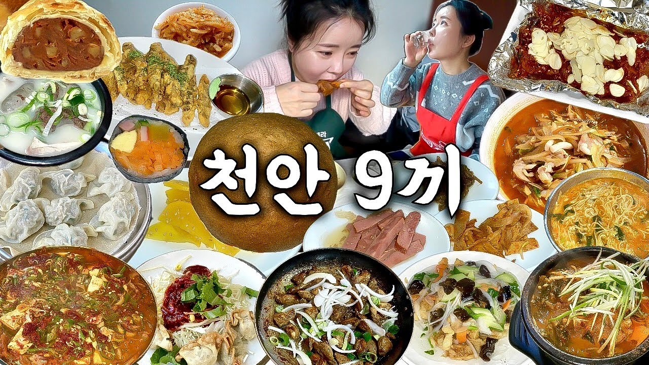 천안 여행 먹방 브이로그 | 진짜 천안 맛집 9끼 먹어보기🥘 어죽 간장닭갈비 김치찌개 병천순대국 뼈해장국 탕수육 불닭발 만두 짬뽕 추어튀김 뚜쥬루
