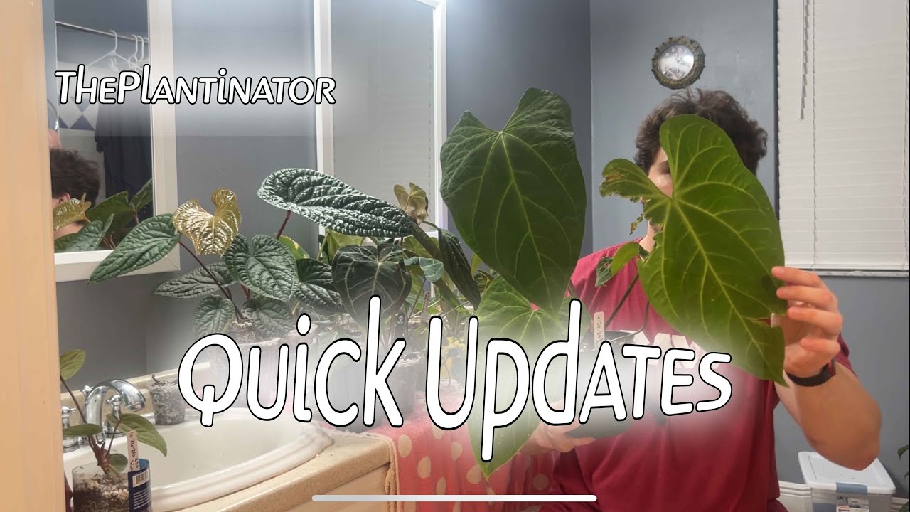 Quick September Update