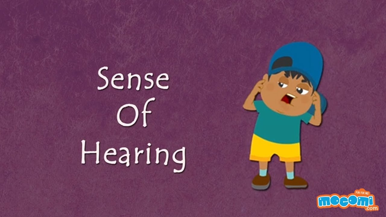 Sense of Hearing-How the Body Works | Human Senses | Science for Kids | Educational Videos by Mocomi