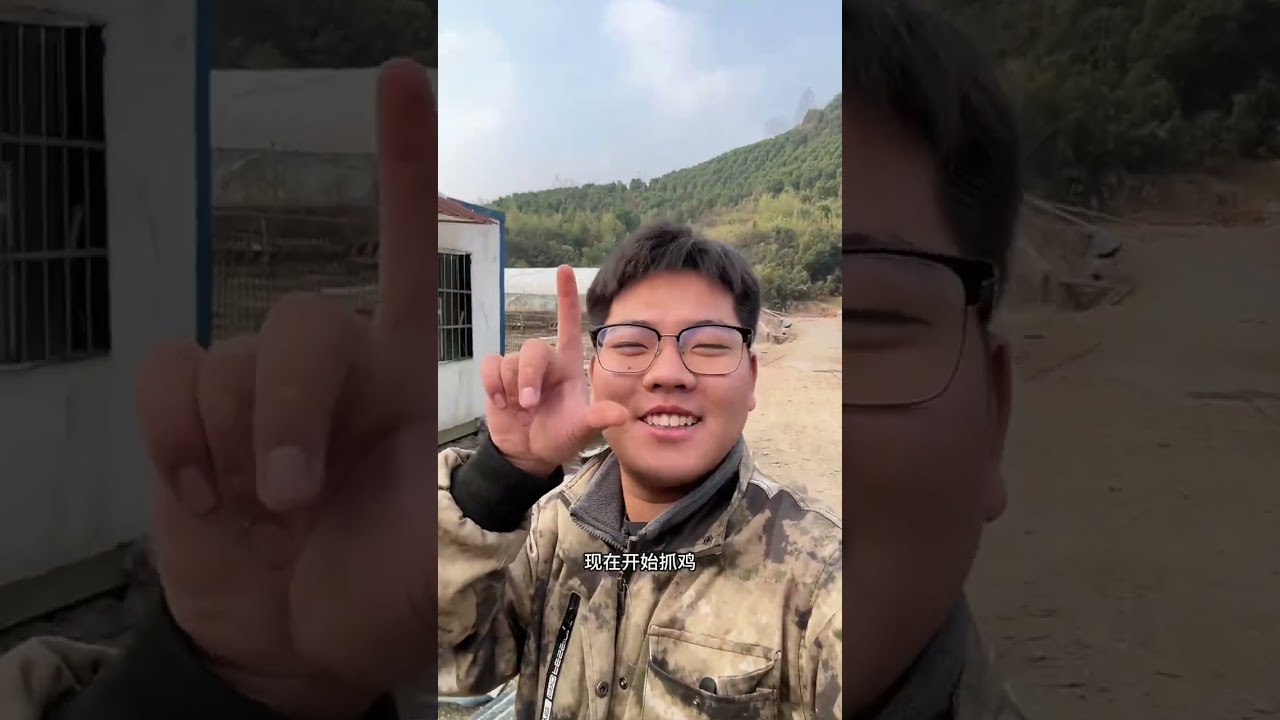《养鸡记录片》新的一批小鸡上山喽！ 养鸡赚不赚钱不知道，但小美一定跑！#我的乡村生活 #抖音新农人 #鸡小邵 #真实生活记录 #三农养殖