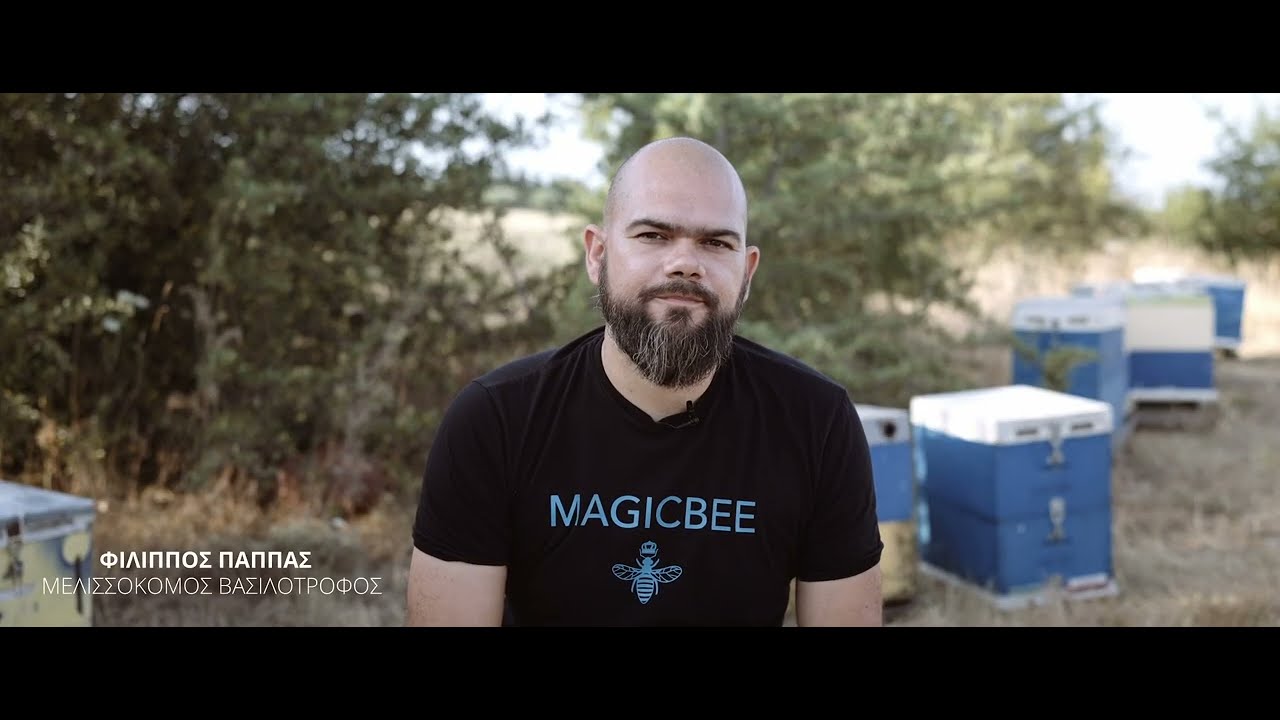 Παραγωγή Βασιλικού Πολτού
