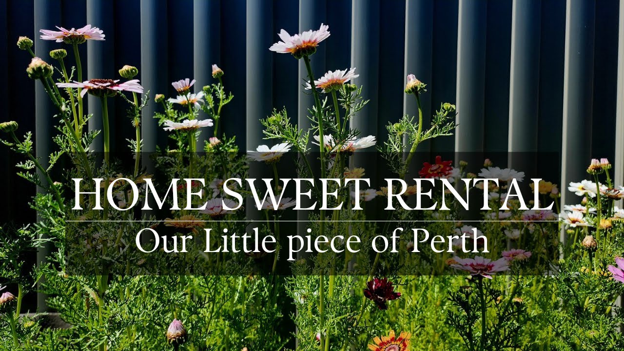 Renting in Australia, utilities, life and laundry