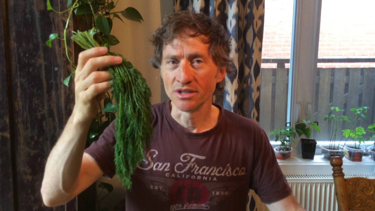 Emmanuel Bilodeau et &Eacute;dith Cochrane cuisinent un panier bio