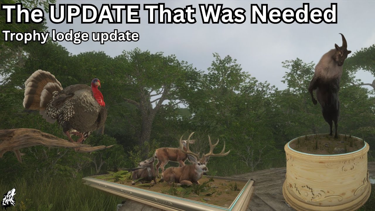 I LOVE the Trophy Lodge UPDATE! - TheHunter Call of The Wild