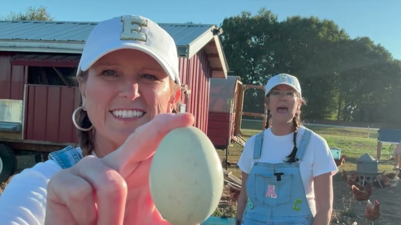 New Vowel e video! Join us as we learn about eggs and hens!