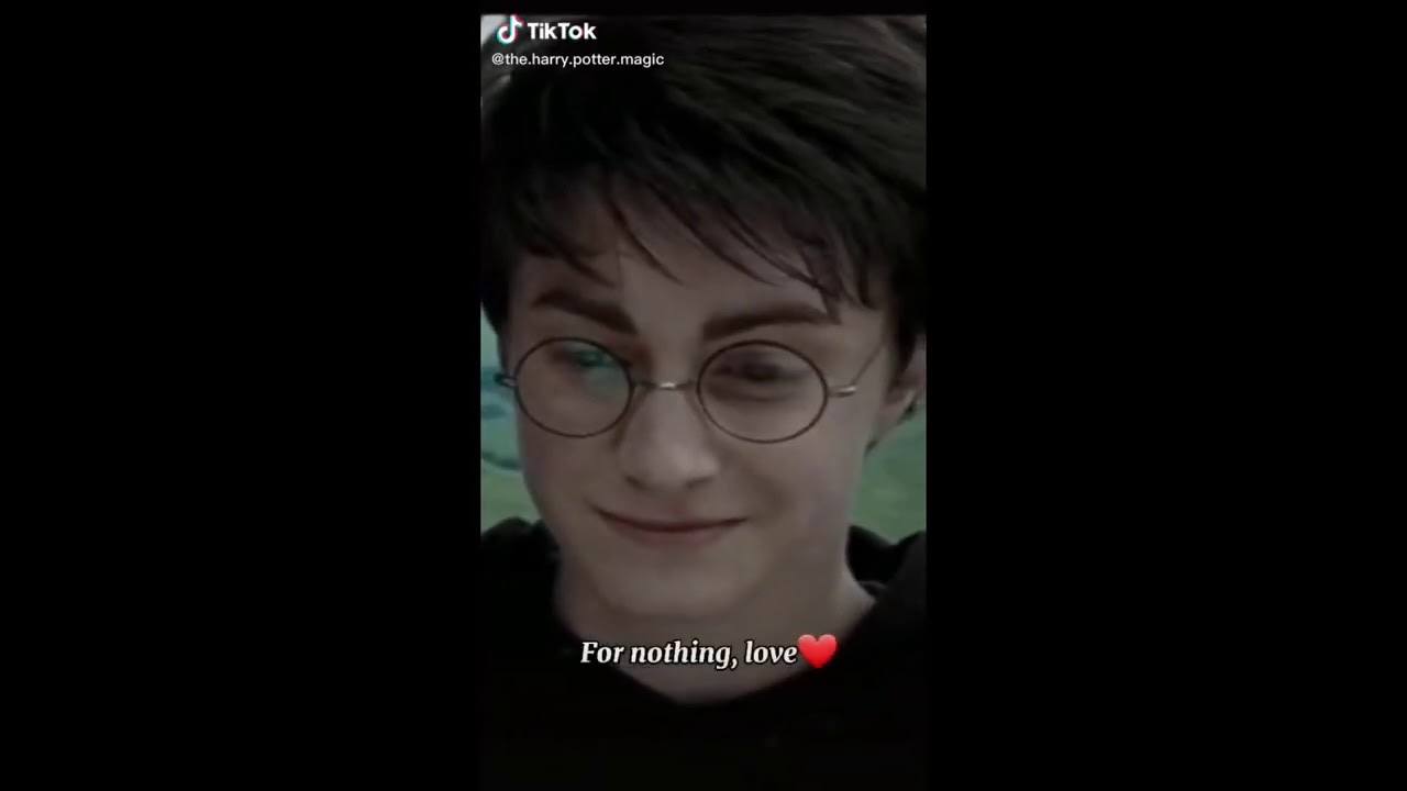 Harry Potter POVS