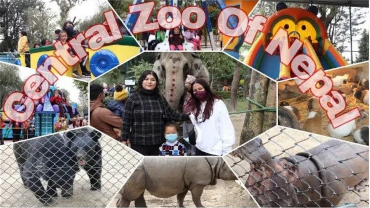Central Zoo Of Kathmandu Nepal l Complete Tour of Zoo l नेपालको एकमात्र चिडियाखाना | zoo in nepal
