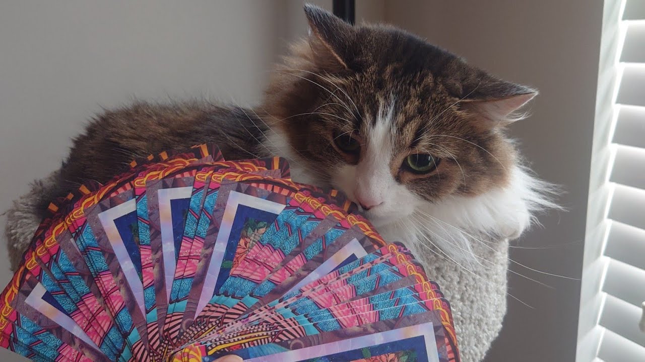 ✨🔮 CRYSTAL BALL READING WITH ORACLE CARDS 🔮✨ #psychic #tarotreader #crystalball