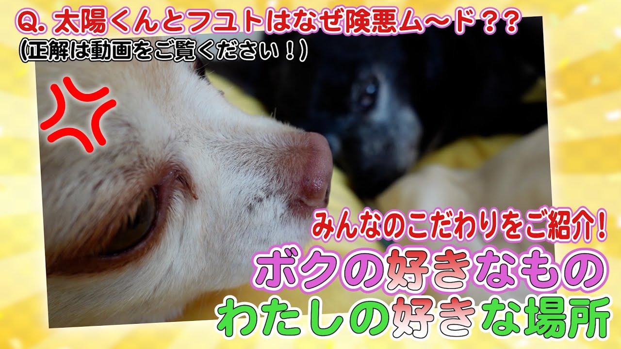 坂上家２２兄弟のこだわり集めました！〜ぼくの好きなもの・私の好きな場所 大特集！〜